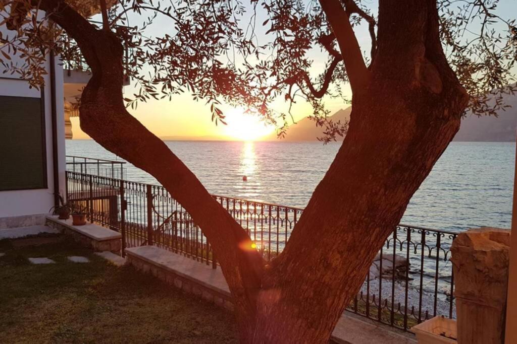Villa Francesca-Grande Appartamento In Riva Al Lago Brenzone sul Garda Dış mekan fotoğraf