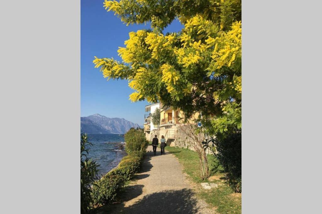 Villa Francesca-Grande Appartamento In Riva Al Lago Brenzone sul Garda Dış mekan fotoğraf
